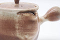Tezumi — Japanese Kyusu - Brown Milky Drip-Glazed Hagi-yaki Ceramic Teapot - 220ml — closeup of the decoration