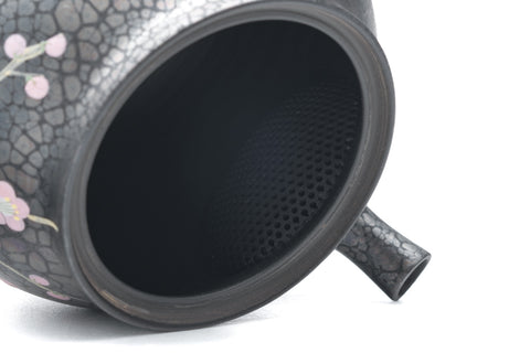 Plum Blossom Tenmoku Tokoname Kokudei Teapot - 260ml