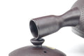 Tezumi — Japanese Kyusu - Engraved Banko-yaki Mesh Teapot - 290ml — side profile showing the spout and handle