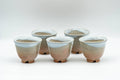 Japanese Tea Set - Beige White Glazed Hagi-yaki Do-ake Kyusu Teapot with 5 Yunomi Teacups - Tezumi