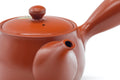 Tezumi — Japanese Kyusu - Long Grass Engraved Tokoname Mesh Teapot - 340ml — closeup of the decoration