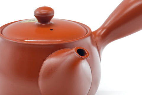 Tezumi — Japanese Kyusu - Long Grass Engraved Tokoname Mesh Teapot - 340ml — closeup of the decoration