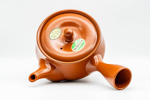 Japanese Kyusu - Classic Red Shudei Tokoname-yaki Mesh Teapot - 370ml
