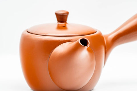 Japanese Kyusu - Classic Red Shudei Tokoname-yaki Mesh Teapot - 300ml