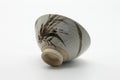 Tezumi — Japanese Matcha Bowl - Grey Glazed Long Grass Decorated Chawan - 330ml — top-down view of the interior