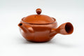 Japanese Kyusu - Classic Red Shudei Tokoname-yaki Mesh Teapot - 230ml - Tezumi