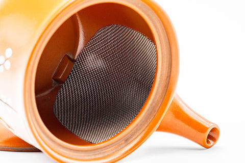 Interior view with the lid removed, revealing the built-in mesh strainer at the base of the spout.