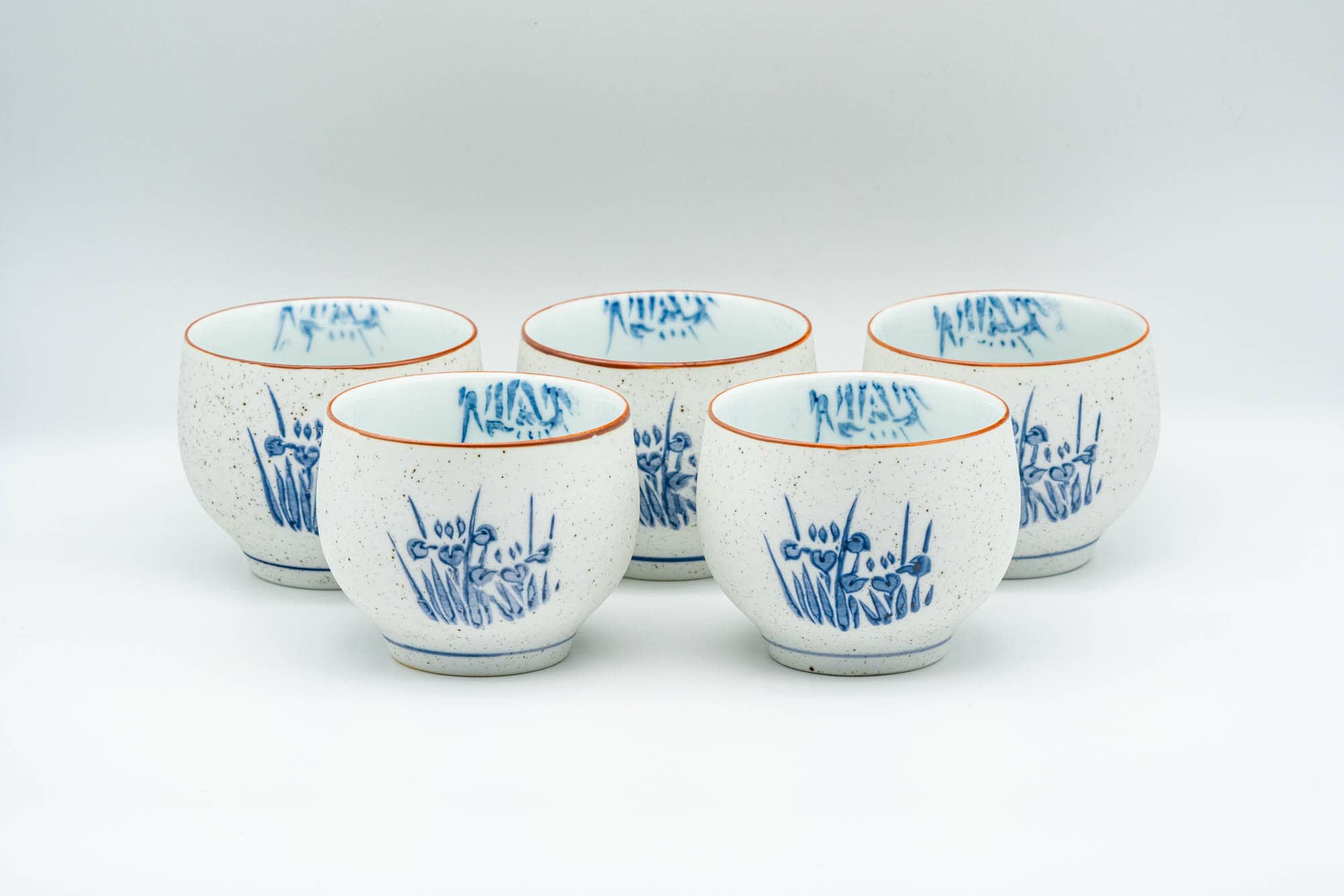 Japanese Tea Set - Blue Floral White Matte Glazed Arita-yaki Debeso Kyusu Teapot with 5 Yunomi Teacups - Tezumi