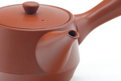 Tezumi — Japanese Kyusu - Bamboo Engraved Tokoname Red Shudei Teapot - 300ml — closeup of the decoration
