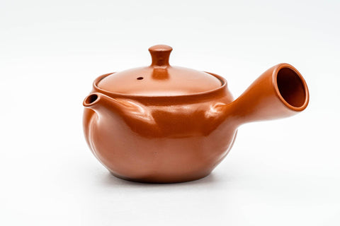 Japanese Kyusu - Classic Red Shudei Tokoname-yaki Mesh Teapot - 290ml - Tezumi
