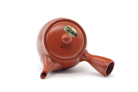 Tezumi — Japanese Kyusu - Long Grass Engraved Tokoname Mesh Teapot - 340ml — another angle