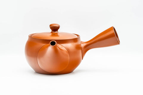 Japanese Kyusu - Classic Red Shudei Tokoname-yaki Mesh Teapot - 350ml