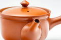Tezumi — Japanese Kyusu - Floral Tokoname-yaki Mesh Teapot - 230ml — closeup of the decoration
