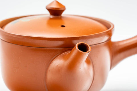 Tezumi — Japanese Kyusu - Floral Tokoname-yaki Mesh Teapot - 230ml — closeup of the decoration