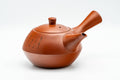 Tezumi — Japanese Kyusu - Calligraphy Engraved Tokoname-yaki Debeso Teapot - 280ml — three-quarter view
