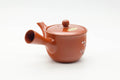 Tezumi — Japanese Kyusu - Painted Plum Blossom Tokoname-yaki Mesh Filter Teapot - 200ml — interior view showing the filter