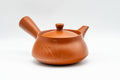 Japanese Tea Set - Long Grass Engraved Tokoname-yaki Debeso Kyusu Teapot with 5 Yunomi Teacups - side profile of the teapot