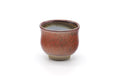 Tezumi — Japanese Teacup - Red Speckled Fish Yunomi - 160ml — front view