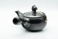 Japanese Kyusu - Year of the Pig Black Kurodei Tokoname-yaki Teapot - 360ml - side profile with spout