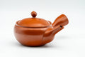 Japanese Kyusu - Classic Red Shudei Tokoname-yaki Mesh Teapot - 230ml - Tezumi