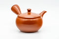 Japanese Kyusu - Classic Red Shudei Tokoname-yaki Mesh Teapot - 290ml - Tezumi