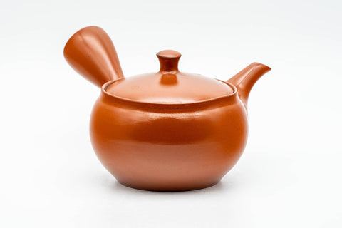 Japanese Kyusu - Classic Red Shudei Tokoname-yaki Mesh Teapot - 290ml - Tezumi