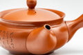 Tezumi — Japanese Kyusu - Collared Kanji Tokoname-yaki Debeso Teapot - 230ml — closeup of the decoration
