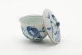Tezumi — Japanese Teacup - Blue Bird Floral Arita-yaki Lidded Yunomi - 150ml — front view from another angle