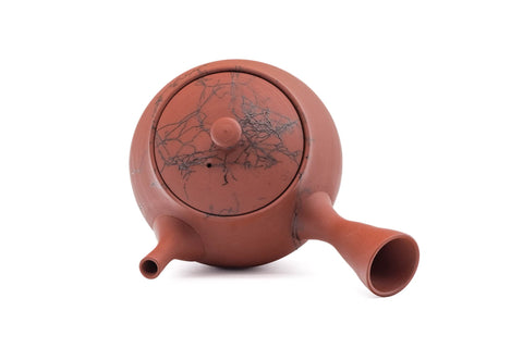 Mogake Red Shudei Tokoname Teapot - 220ml