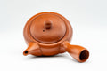 Japanese Kyusu - Myozan Tsuzuki - Tokoname-yaki Debeso Teapot - 220ml - Tezumi