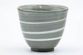 Wider front view showing the grey body and white spiral lines.
