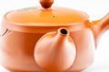 Tezumi — Japanese Kyusu - Grapevine Engraved Tokoname-yaki Obi-ami 360 Mesh Teapot - 370ml — closeup of the decoration