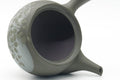 Tezumi — Japanese Kyusu - Floral Green Ryokudei Tokoname Mesh Teapot - 290ml — side profile showing the spout and handle