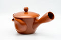 Tezumi — Japanese Kyusu - Classic Red Shudei Tokoname-yaki Mesh Teapot - 275ml — top-down view of the lid