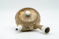 Japanese Kyusu - Floral Beige Glazed Porcelain Teapot - 300ml - Tezumi