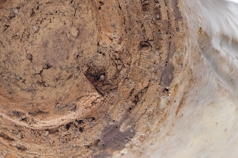 Japanese Teacup - Abstract Hagi Yunomi - 130ml