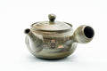 View from the opposite side with the spout angled right.