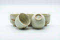 Tezumi — Japanese Tea Set - Beige Speckled Floral Kiyomizu-yaki Dobin Teapot with 5 Yunomi Teacups — additional view