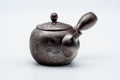 Tezumi — Japanese Kyusu - Engraved Birds Banko-yaki Ceramic Teapot - 150ml — side view with the lid and side handle