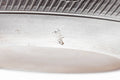 Tezumi — Japanese Kyusu - Engraved Banko-yaki Obi-ami 360 Strainer Teapot - 325ml — additional view