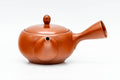 Side profile of the teapot showing the side handle and pouring spout.