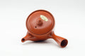 Tezumi — Japanese Kyusu - Painted Plum Blossom Tokoname-yaki Mesh Filter Teapot - 200ml — top-down view of the lid