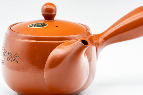 Japanese Kyusu - Calligraphy Engraved Tokoname-yaki Mesh Teapot - 300ml - Tezumi