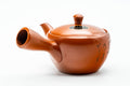 Japanese Kyusu - Calligraphy Engraved Tokoname-yaki Mesh Teapot - 275ml - three-quarter view from the spout side