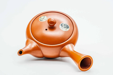 Japanese Kyusu - Classic Red Shudei Tokoname-yaki Mesh Teapot - 275ml