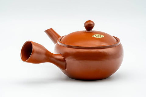 Japanese Kyusu - Classic Red Shudei Tokoname-yaki Mesh Teapot - 230ml - Tezumi