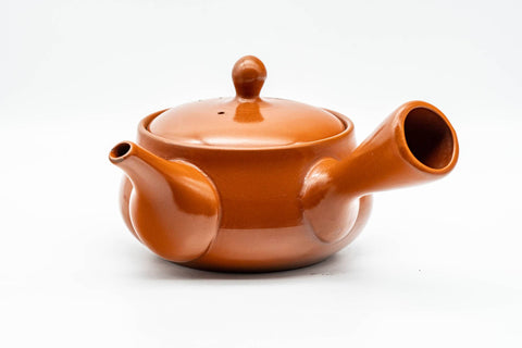Tezumi — Japanese Kyusu - Bamboo Engraved Tokoname-yaki Mesh Teapot - 350ml — side view showing the spout