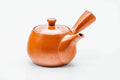 Glossy red shudei Tokoname-yaki side-handle kyusu, three-quarter view with lid on and spout to the left