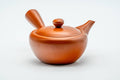 Japanese Kyusu - Smooth Red Shudei Tokoname-yaki Ceramic Teapot - 270ml - three-quarter view of the smooth red shudei body, lid on and side handle to the right
