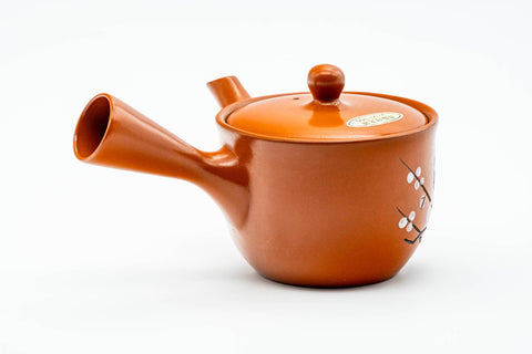 Angled view with the side handle at right and the spout to the lower left.